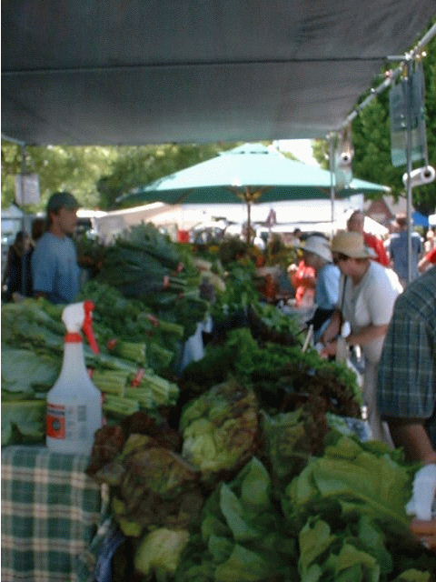Farmer's market ̖