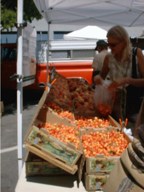 Farmer's market ̂